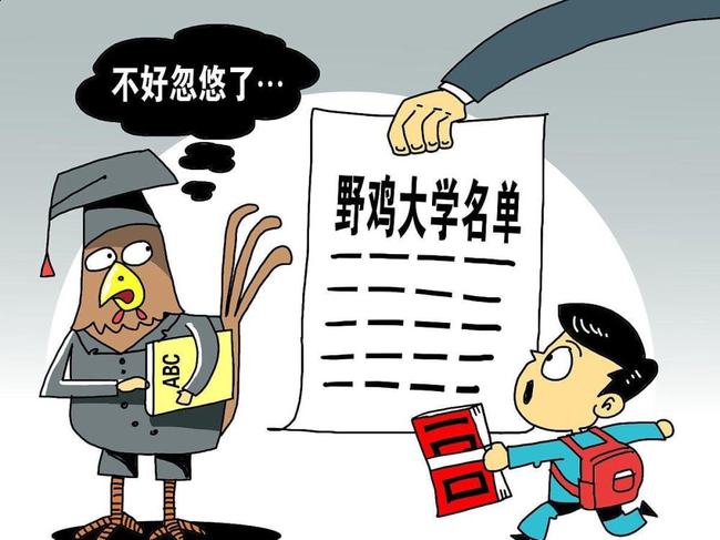 2025澳门免费资料,正版资料警惕虚假宣传、全面解答与解释、详细解答解释落实